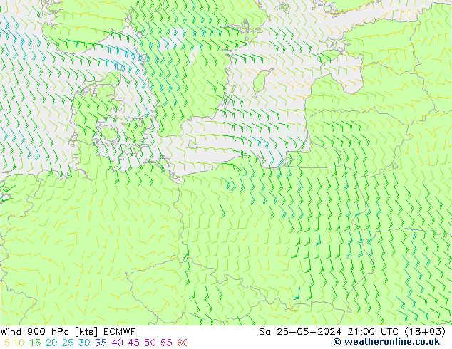 Rüzgar 900 hPa ECMWF Cts 25.05.2024 21 UTC