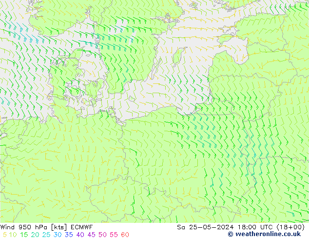 ветер 950 гПа ECMWF сб 25.05.2024 18 UTC