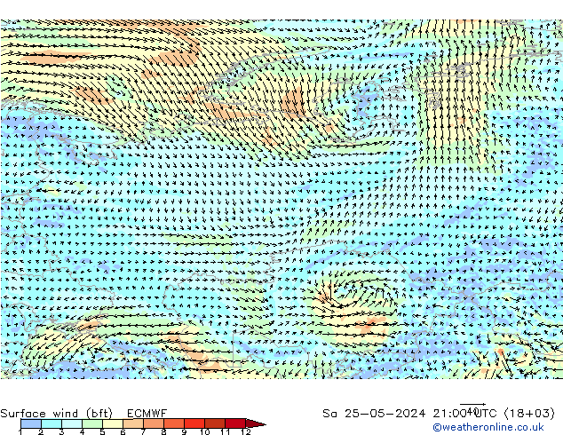 Surface wind (bft) ECMWF Sa 25.05.2024 21 UTC