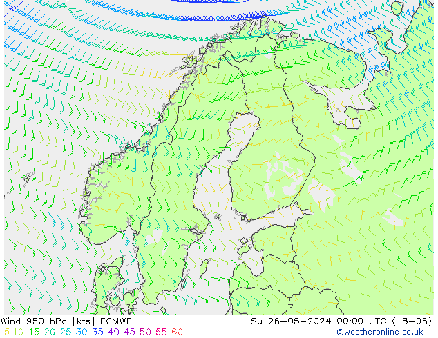 Wind 950 hPa ECMWF So 26.05.2024 00 UTC