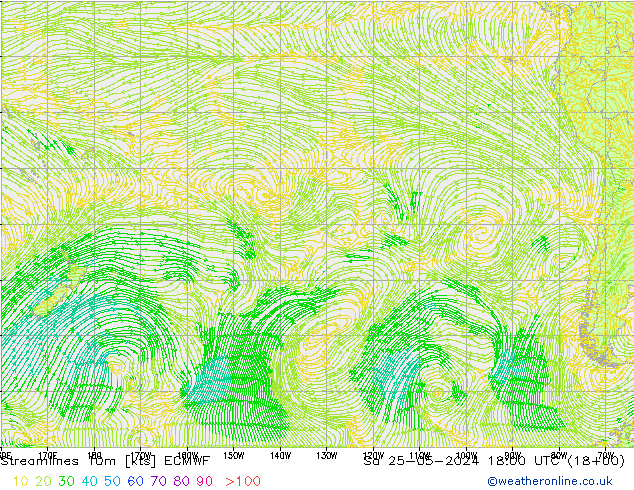 Rüzgar 10m ECMWF Cts 25.05.2024 18 UTC