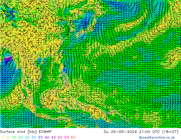 Rüzgar 10 m ECMWF Paz 26.05.2024 21 UTC