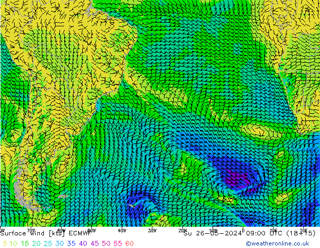 Rüzgar 10 m ECMWF Paz 26.05.2024 09 UTC