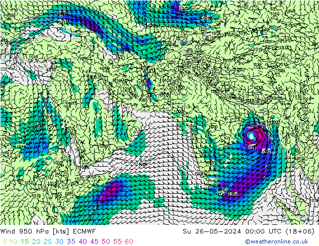 Wind 950 hPa ECMWF zo 26.05.2024 00 UTC