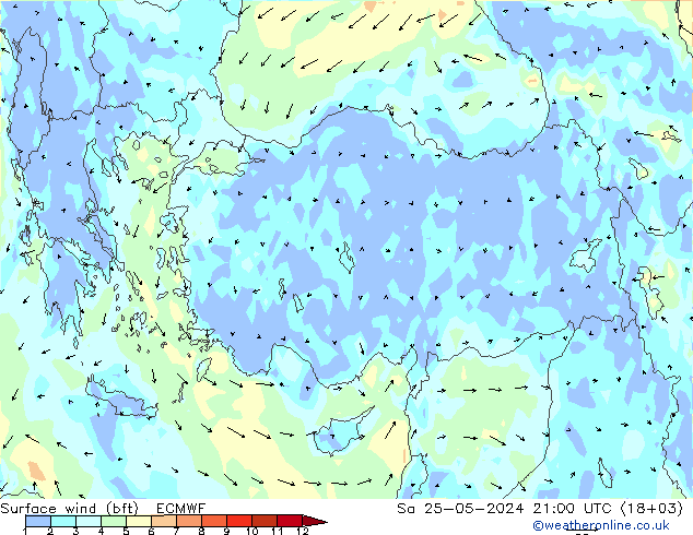 Vento 10 m (bft) ECMWF sab 25.05.2024 21 UTC