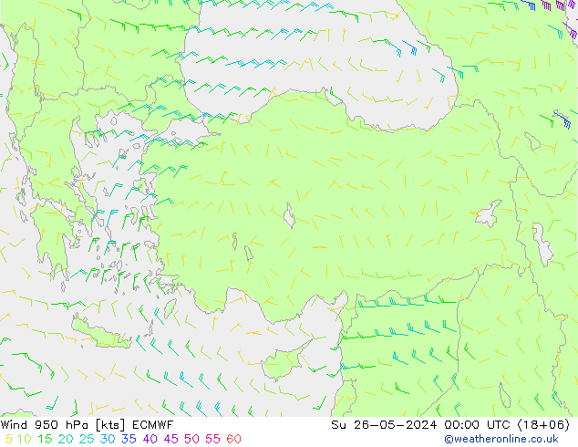 Prec 6h/Wind 10m/950 ECMWF Вс 26.05.2024 00 UTC
