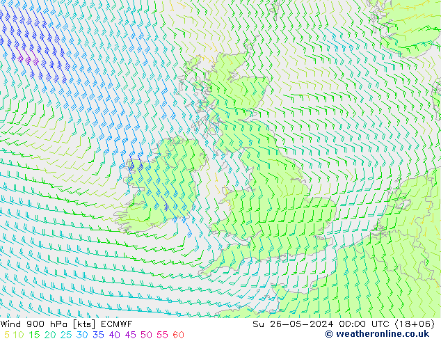 Vento 900 hPa ECMWF Dom 26.05.2024 00 UTC