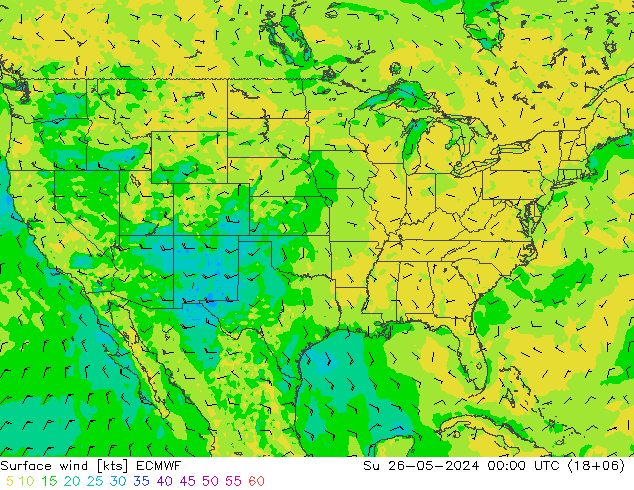 Prec 6h/Wind 10m/950 ECMWF dim 26.05.2024 00 UTC