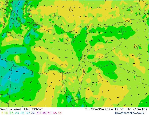 Wind 10 m ECMWF zo 26.05.2024 12 UTC