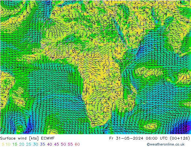 ветер 10 m ECMWF пт 31.05.2024 06 UTC