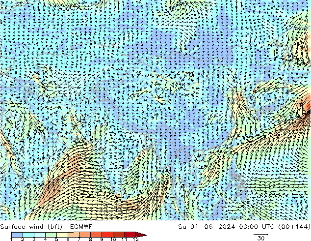 Surface wind (bft) ECMWF Sa 01.06.2024 00 UTC