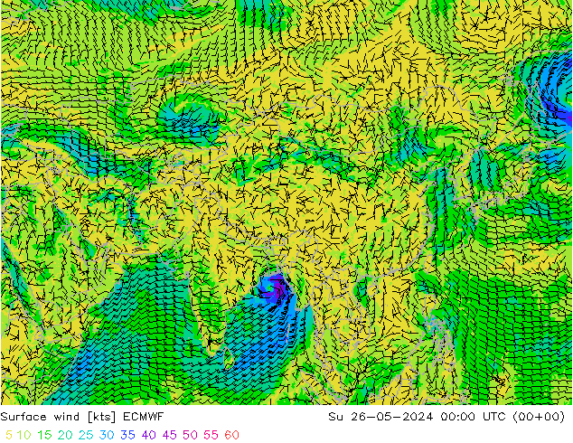 Surface wind ECMWF Su 26.05.2024 00 UTC