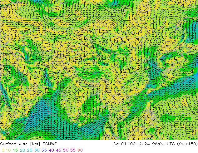 Wind 10 m ECMWF za 01.06.2024 06 UTC