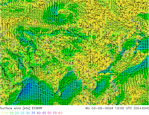 Bodenwind ECMWF Mo 03.06.2024 12 UTC