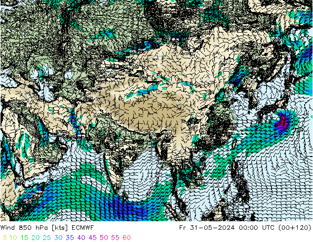 Wind 850 hPa ECMWF vr 31.05.2024 00 UTC