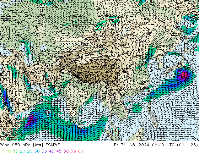 Wind 950 hPa ECMWF Fr 31.05.2024 06 UTC