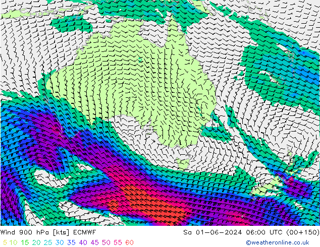 Vento 900 hPa ECMWF Sáb 01.06.2024 06 UTC