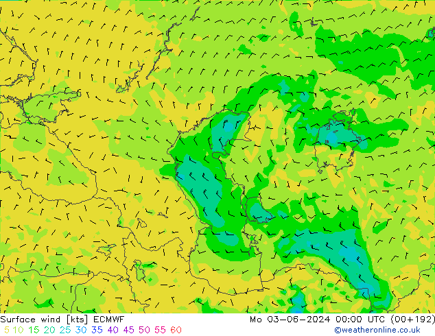 Surface wind ECMWF Mo 03.06.2024 00 UTC