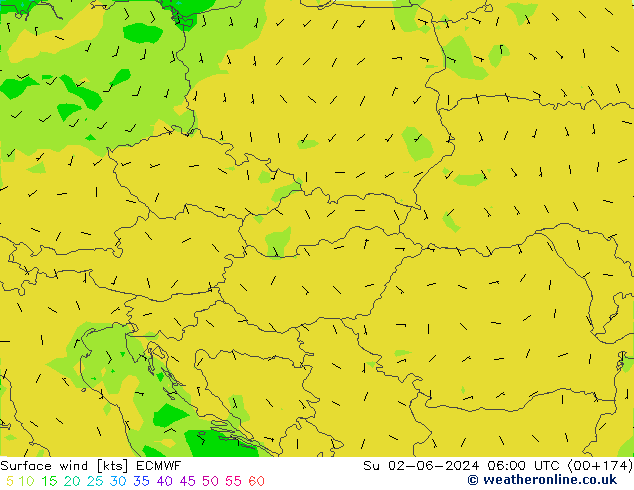 Wind 10 m ECMWF zo 02.06.2024 06 UTC