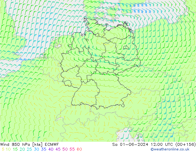 Wind 850 hPa ECMWF za 01.06.2024 12 UTC