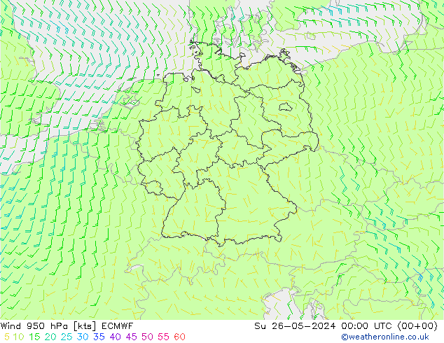 Rüzgar 950 hPa ECMWF Paz 26.05.2024 00 UTC