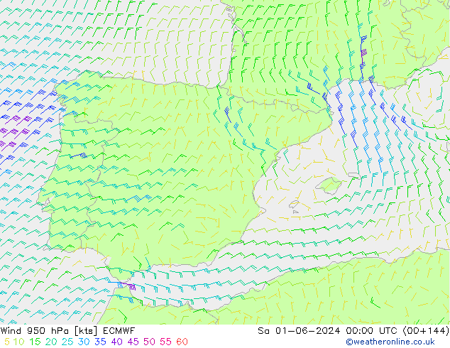 Wind 950 hPa ECMWF Sa 01.06.2024 00 UTC