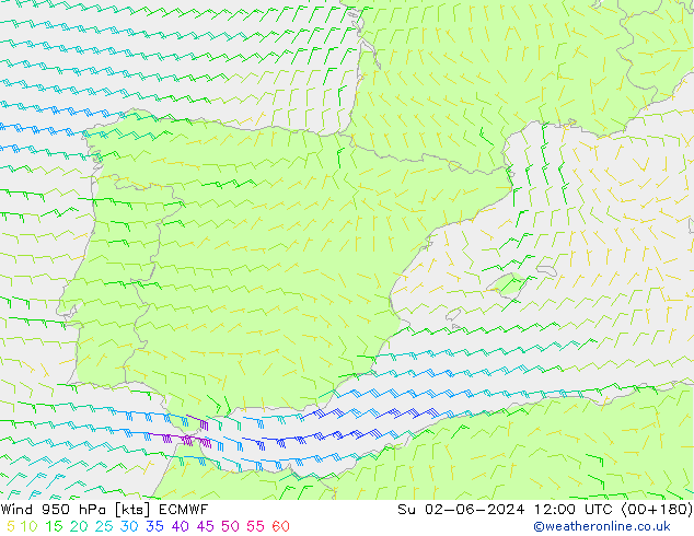 Rüzgar 950 hPa ECMWF Paz 02.06.2024 12 UTC