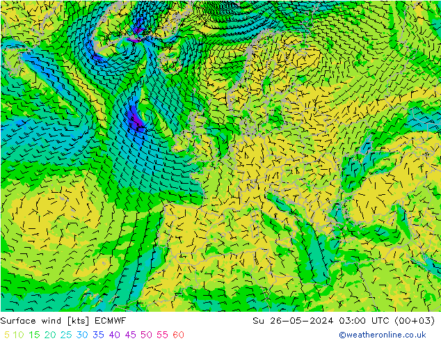 Surface wind ECMWF Ne 26.05.2024 03 UTC