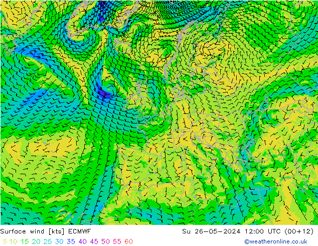 Surface wind ECMWF Su 26.05.2024 12 UTC