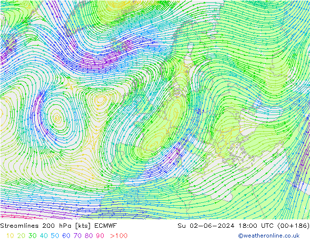 Stromlinien 200 hPa ECMWF So 02.06.2024 18 UTC