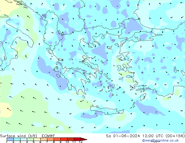 Surface wind (bft) ECMWF Sa 01.06.2024 12 UTC