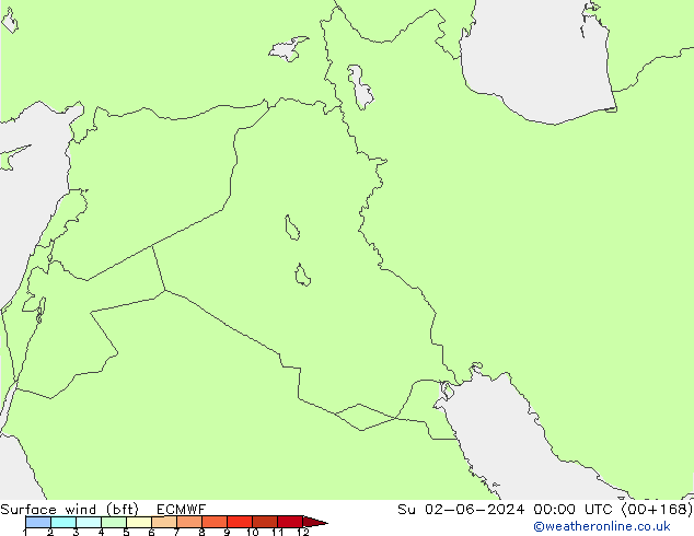 Vento 10 m (bft) ECMWF Dom 02.06.2024 00 UTC