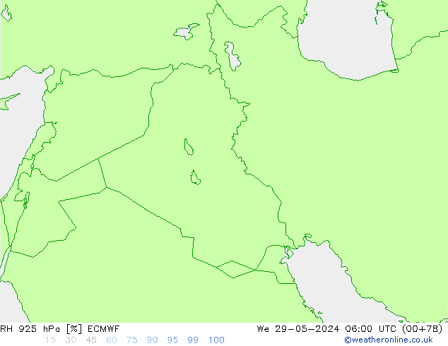 RH 925 гПа ECMWF ср 29.05.2024 06 UTC