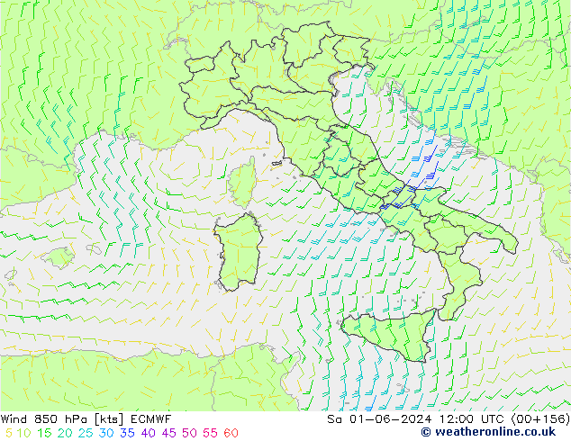 wiatr 850 hPa ECMWF so. 01.06.2024 12 UTC