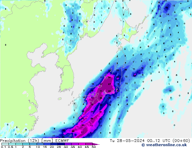 Precipitation (12h) ECMWF Tu 28.05.2024 12 UTC