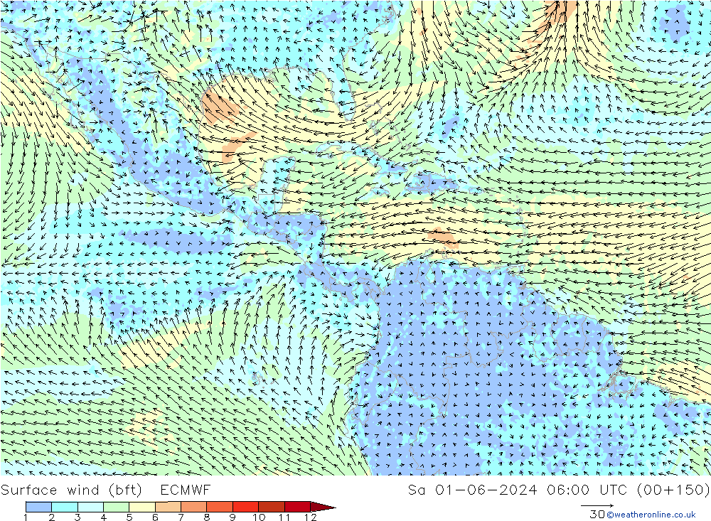Surface wind (bft) ECMWF Sa 01.06.2024 06 UTC