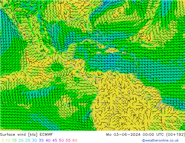 Wind 10 m ECMWF ma 03.06.2024 00 UTC