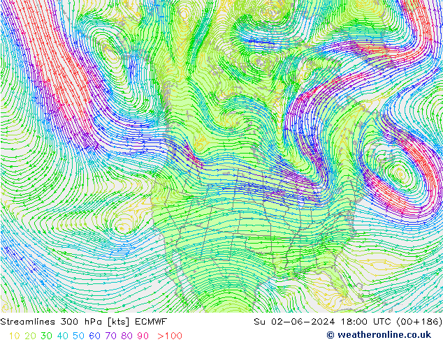 Stromlinien 300 hPa ECMWF So 02.06.2024 18 UTC