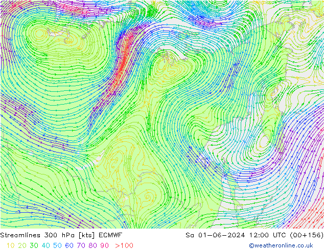 Stromlinien 300 hPa ECMWF Sa 01.06.2024 12 UTC