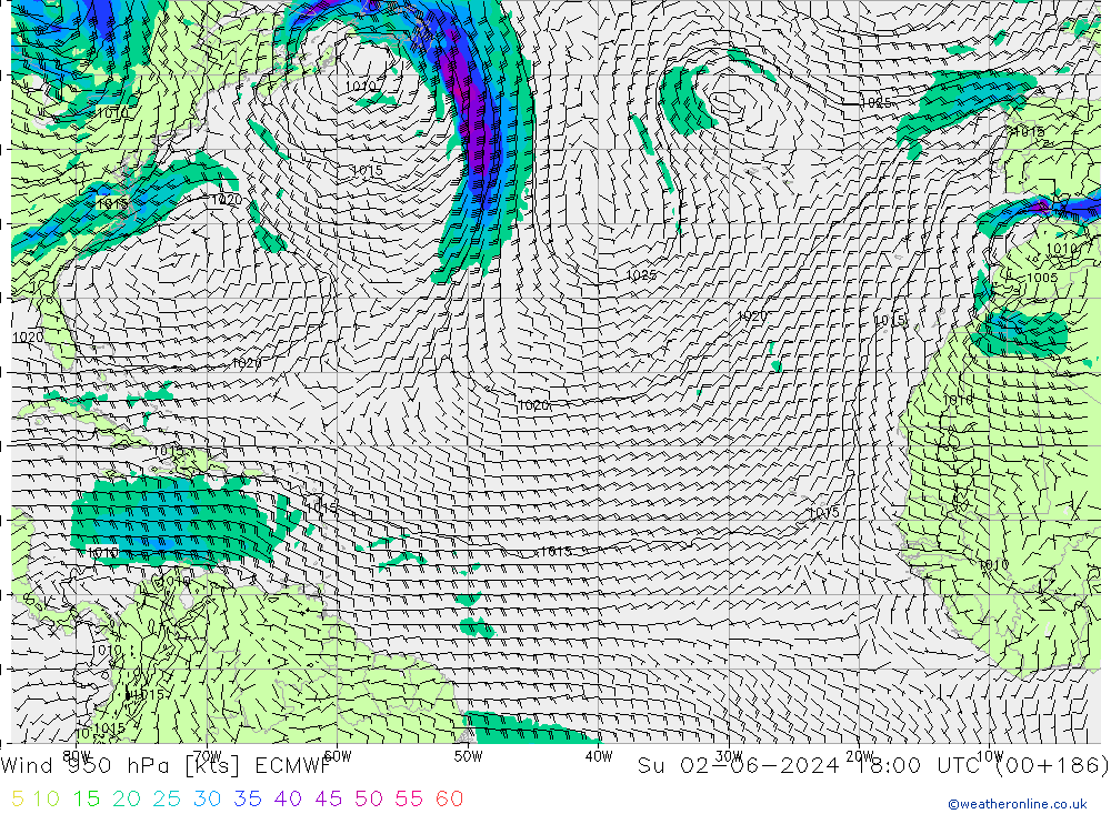 Vent 950 hPa ECMWF dim 02.06.2024 18 UTC