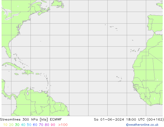 Linia prądu 300 hPa ECMWF so. 01.06.2024 18 UTC