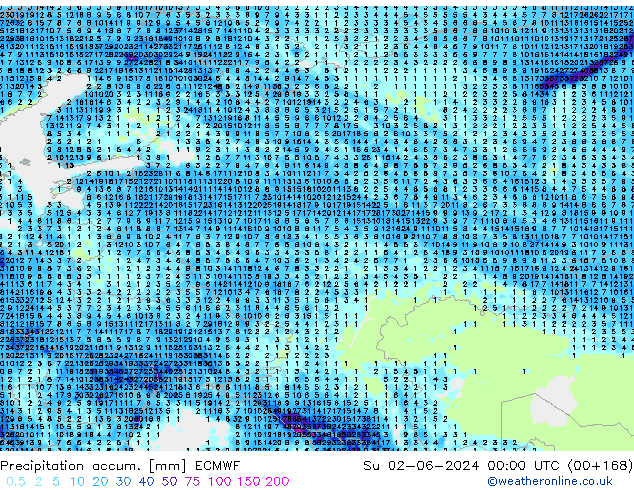 Toplam Yağış ECMWF Paz 02.06.2024 00 UTC