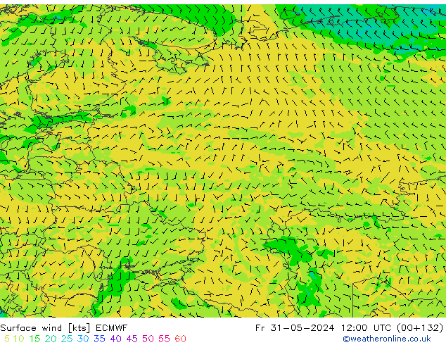 Vento 10 m ECMWF ven 31.05.2024 12 UTC