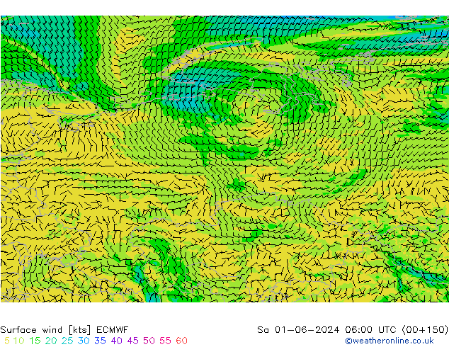 Rüzgar 10 m ECMWF Cts 01.06.2024 06 UTC