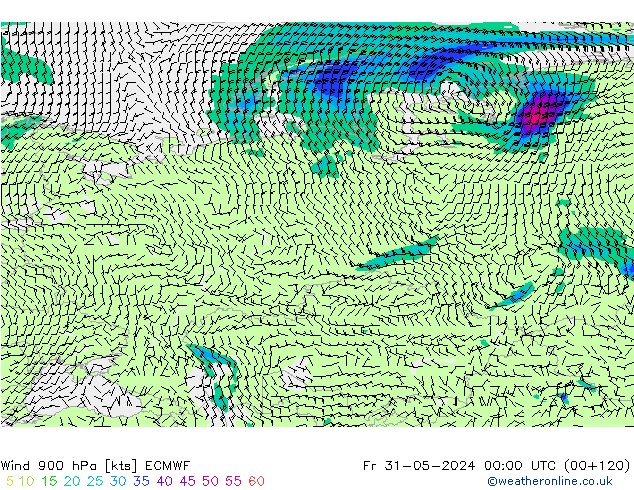 Wind 900 hPa ECMWF Fr 31.05.2024 00 UTC