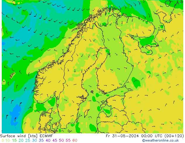 Vento 10 m ECMWF ven 31.05.2024 00 UTC