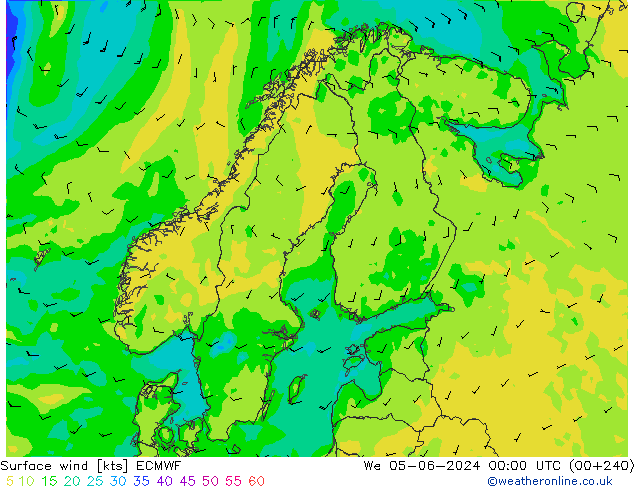 Wind 10 m ECMWF wo 05.06.2024 00 UTC