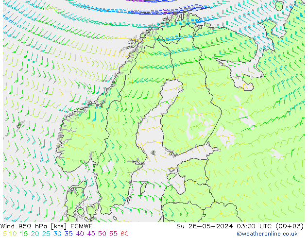 Vento 950 hPa ECMWF Dom 26.05.2024 03 UTC