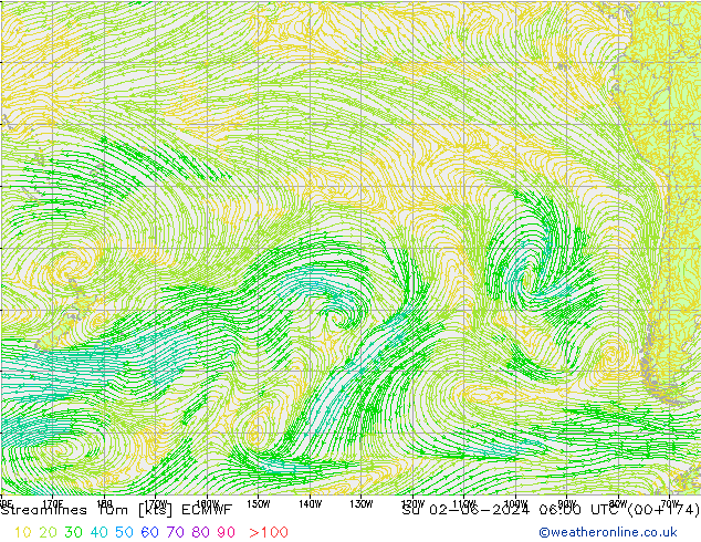 Ligne de courant 10m ECMWF dim 02.06.2024 06 UTC