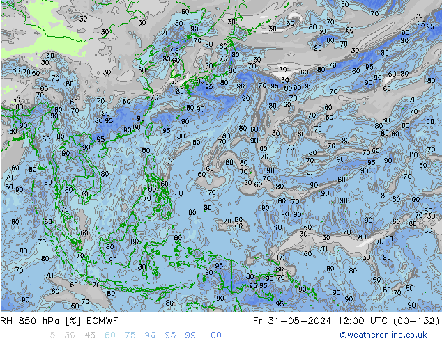 RH 850 hPa ECMWF pt. 31.05.2024 12 UTC